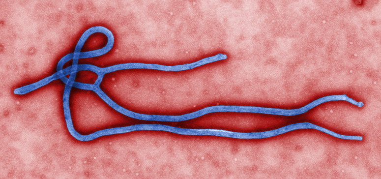 ebola in Ethiopia